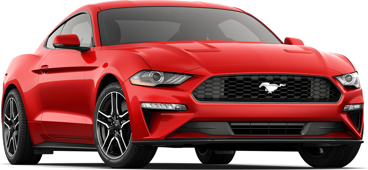 Ford Noosa Serv Auto Care Service Ford Noosa Serv Auto Care Service